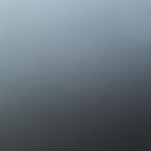 NWT CALIA kick it up shorts